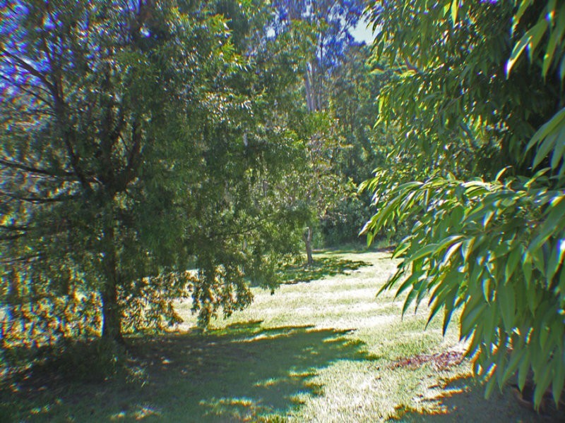 40 Coolum View Terrace, Buderim QLD 4556