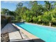 38 Rainbird Court, Palmwoods QLD 4555