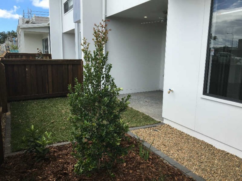 53 Tinnanbar Terrace, Maroochydore QLD 4558