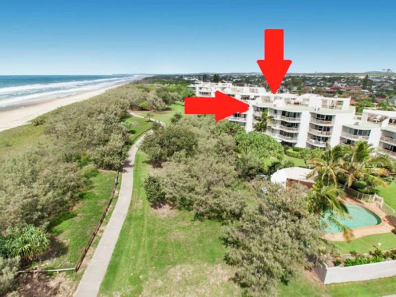 25/143 Lowanna Drive, Buddina QLD 4575