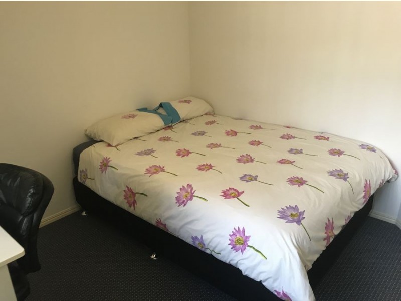 1 Summerfield Court, Bli Bli QLD 4560