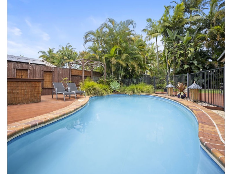 12 Lurnea Crescent, Mountain Creek QLD 4557