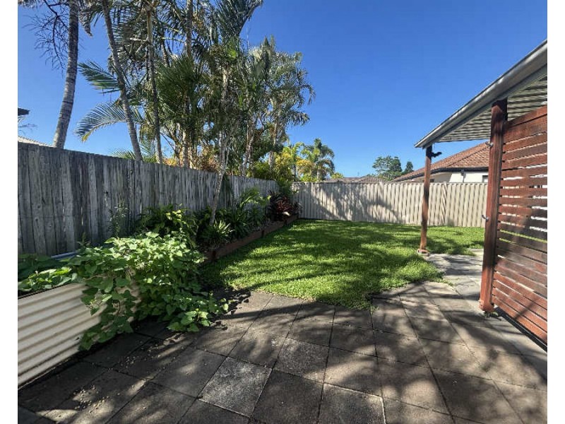 6 Coney Court, Mountain Creek QLD 4557