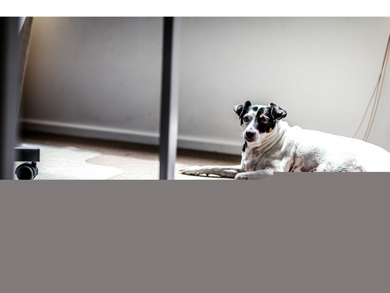 10 Barrington Close, Murrumba Downs QLD 4503