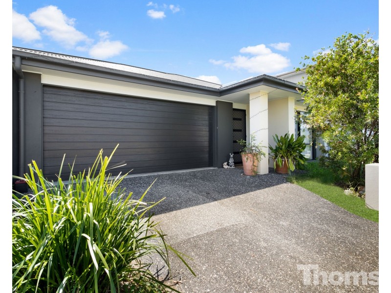 12 Buccaneer Street, Newport QLD 4020
