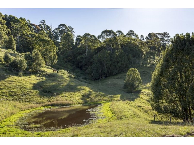 288 Tunnel Road, Stokers Siding NSW 2484