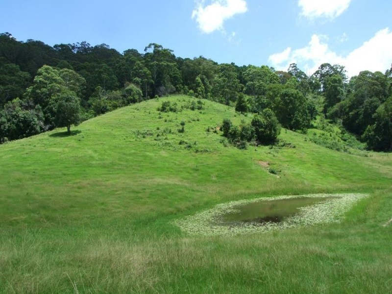 288 Tunnel Road, Stokers Siding NSW 2484