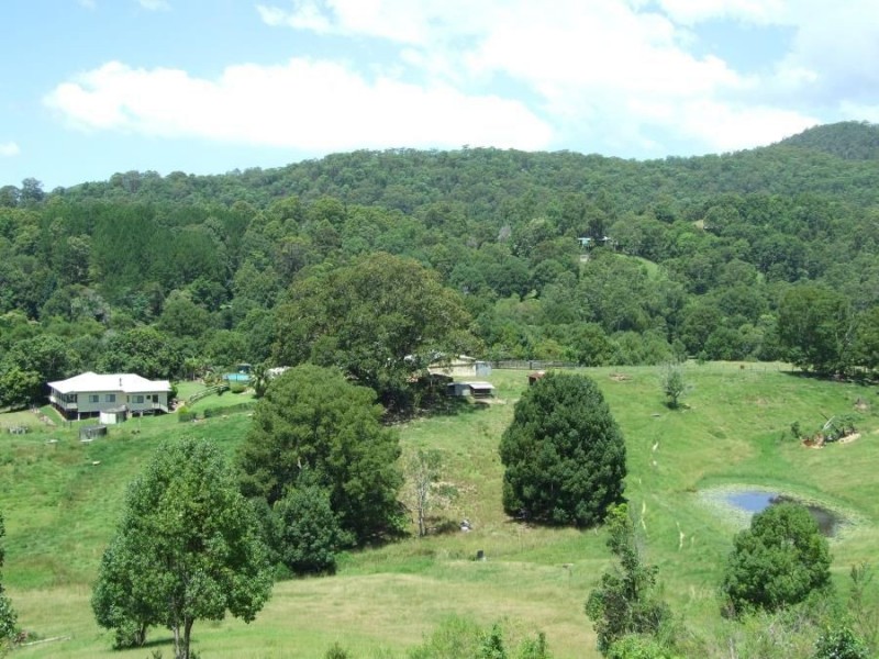 288 Tunnel Road, Stokers Siding NSW 2484