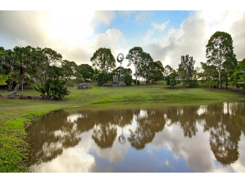 56 Hazelwood Drive, Pottsville NSW 2489