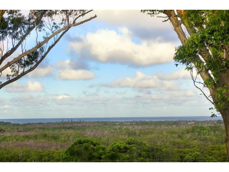 56 Hazelwood Drive, Pottsville NSW 2489