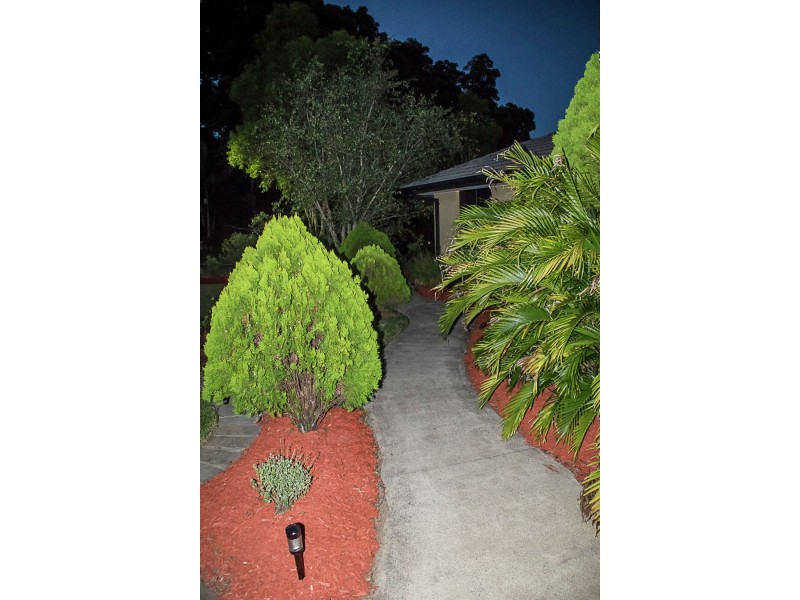 77 Botanical Circuit, Banora Point NSW 2486