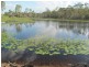 232 Petersens Road, Yandaran QLD 4673