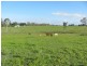 232 Petersens Road, Yandaran QLD 4673
