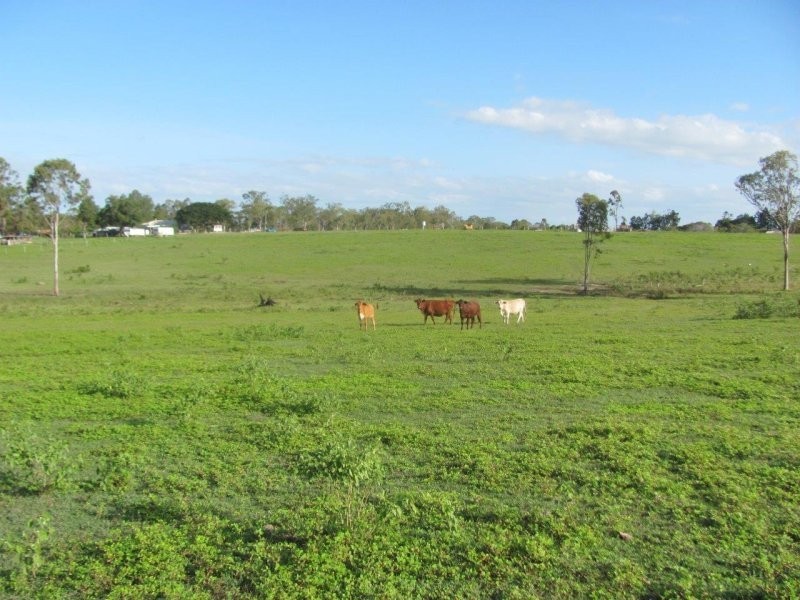 232 Petersens Road, Yandaran QLD 4673