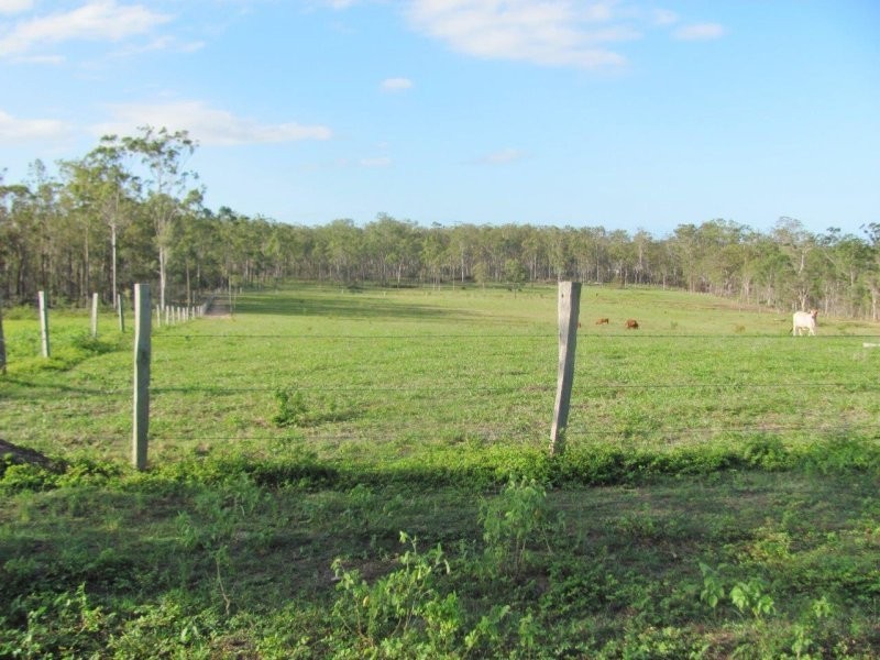 232 Petersens Road, Yandaran QLD 4673