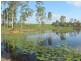 232 Petersens Road, Yandaran QLD 4673