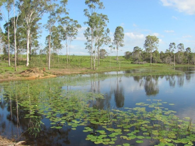 232 Petersens Road, Yandaran QLD 4673