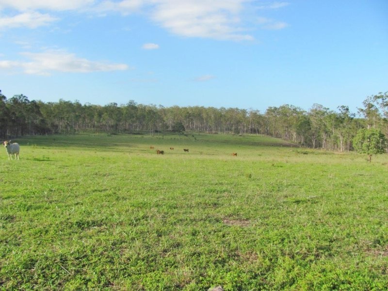 232 Petersens Road, Yandaran QLD 4673