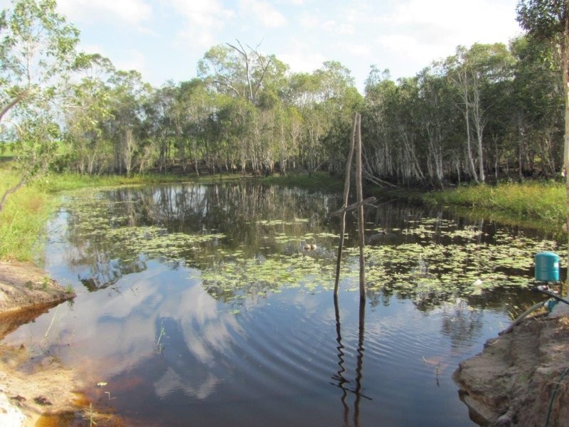 232 Petersens Road, Yandaran QLD 4673