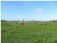 232 Petersens Road, Yandaran QLD 4673