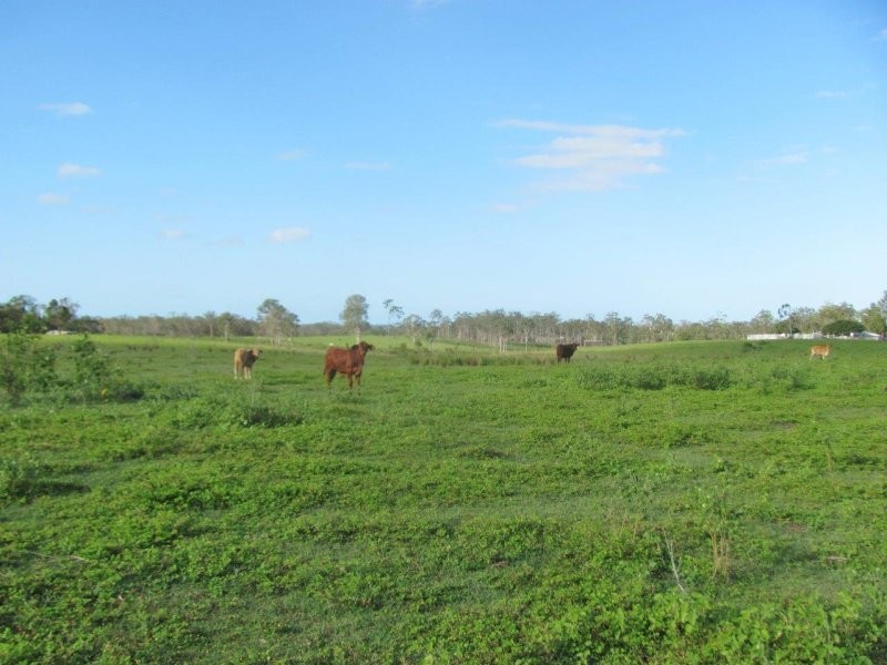 232 Petersens Road, Yandaran QLD 4673