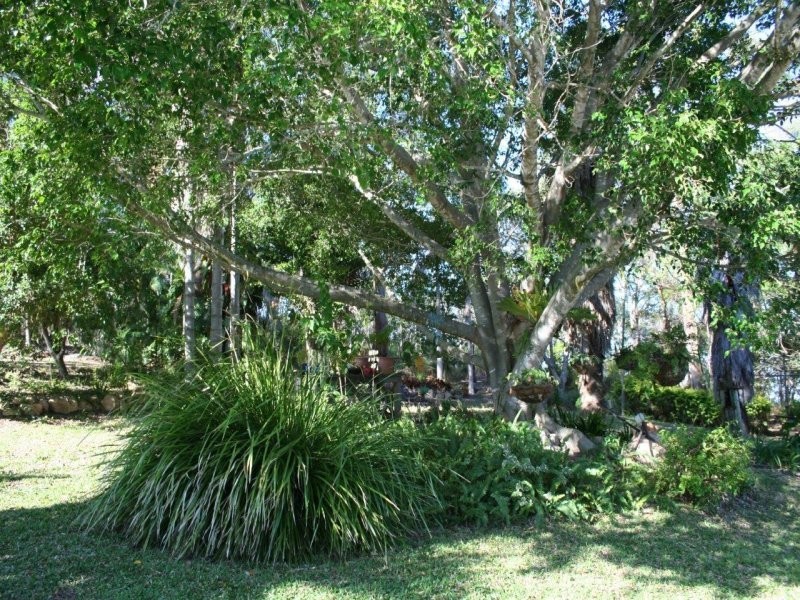 394 Capricornia Drive, Deepwater QLD 4674
