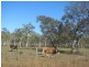 167 Dale Drive, Rules Beach QLD 4674