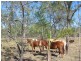 167 Dale Drive, Rules Beach QLD 4674