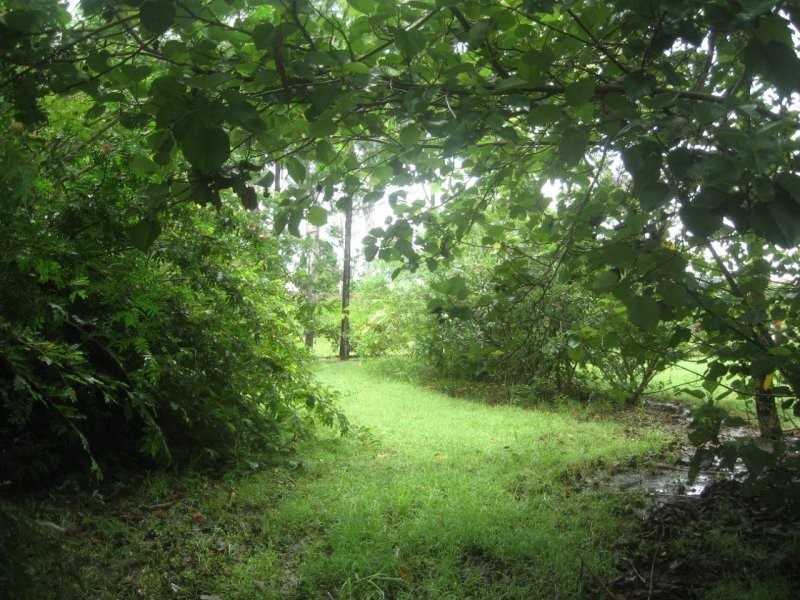 22 James Street, Rosedale QLD 4674