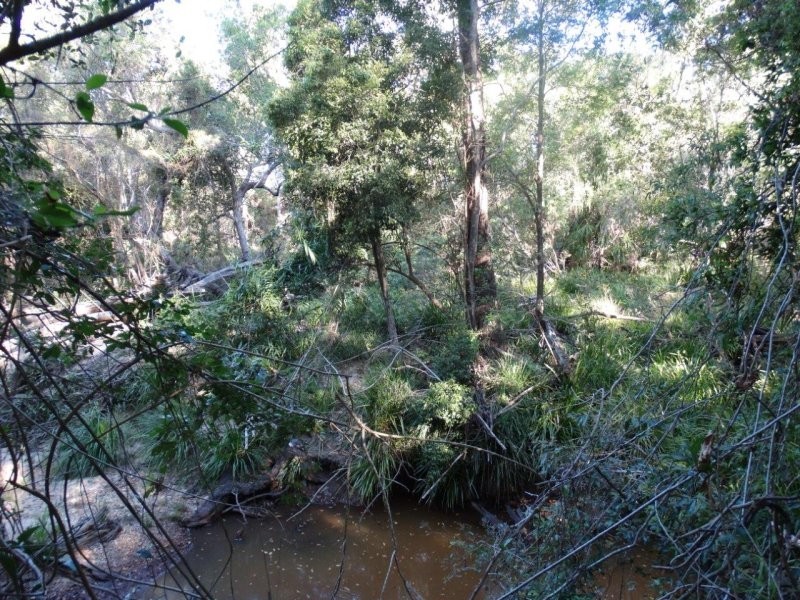15 Bindara Court, Mullett Creek QLD 4670