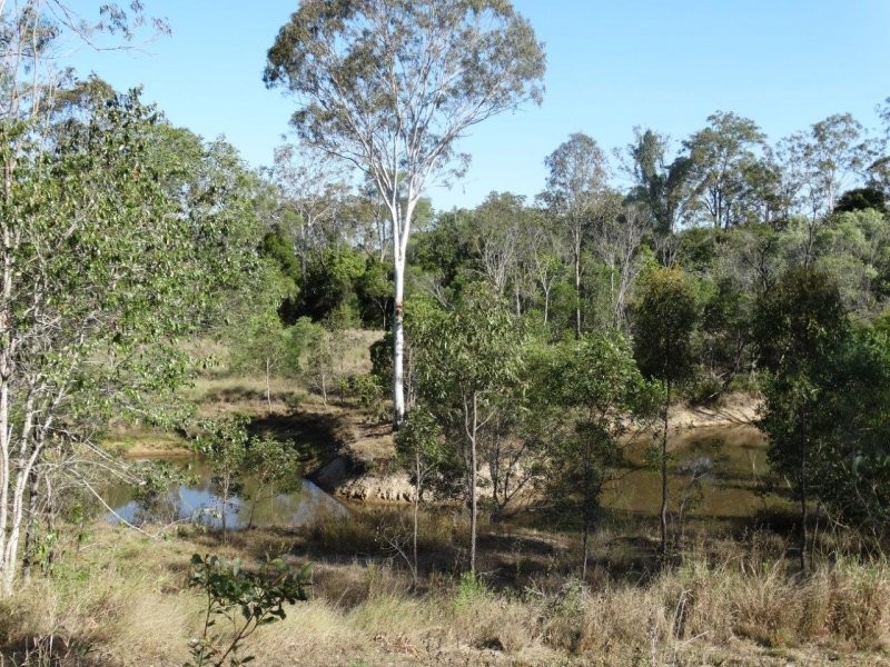 15 Bindara Court, Mullett Creek QLD 4670