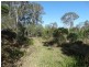 15 Bindara Court, Mullett Creek QLD 4670