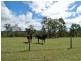 1000 Gorge Road, Taunton QLD 4674