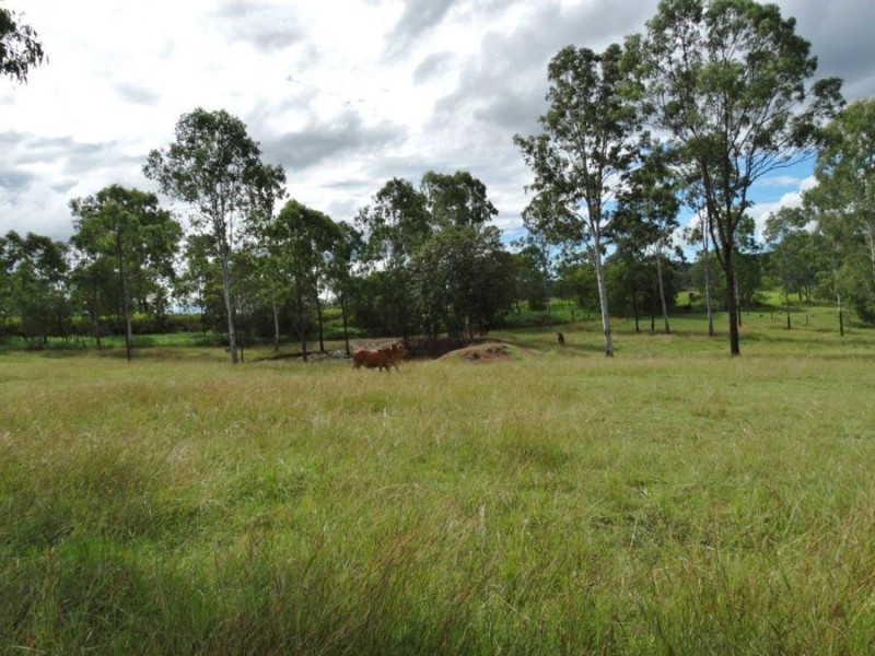 1000 Gorge Road, Taunton QLD 4674