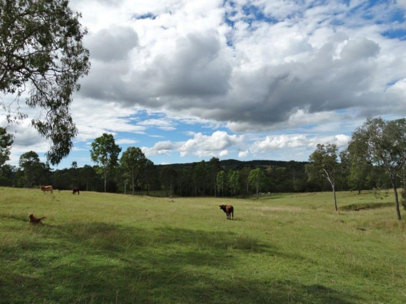 1000 Gorge Road, Taunton QLD 4674