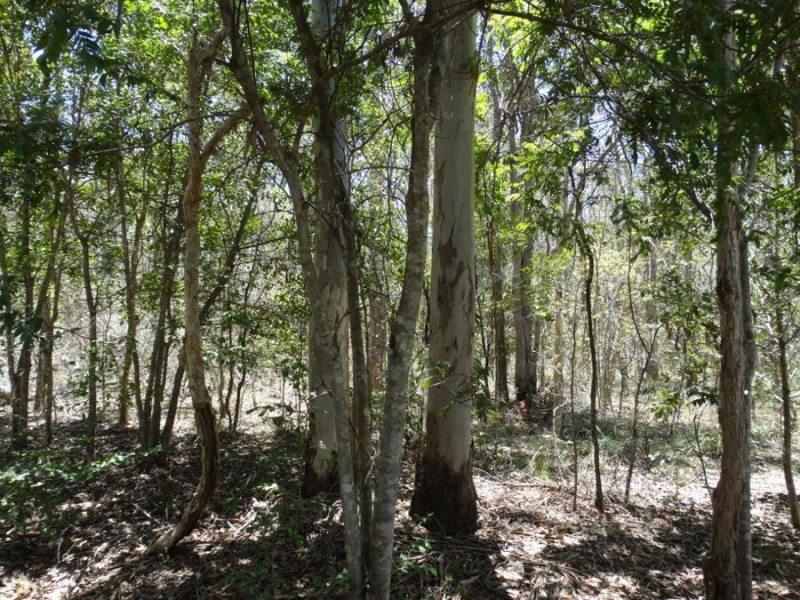 Lot 1 Coast Road, Rules Beach QLD 4674