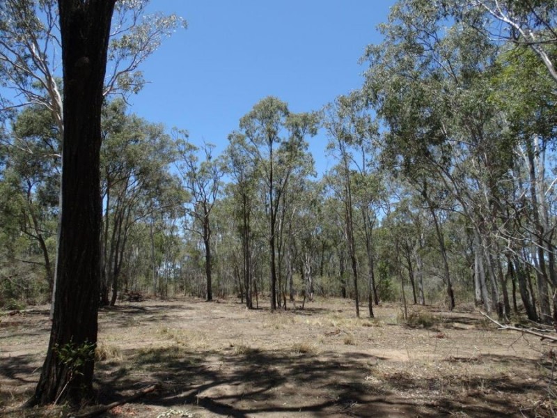 Lot 1 Coast Road, Rules Beach QLD 4674