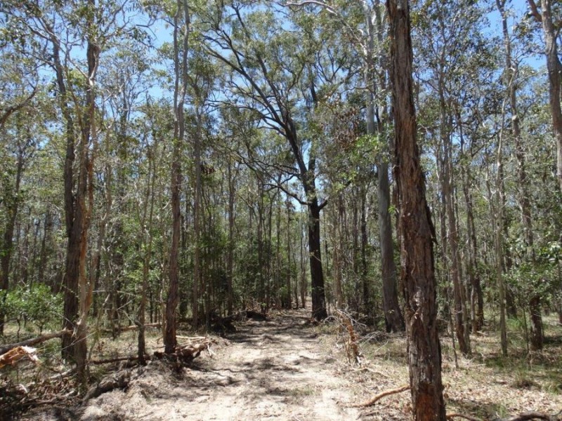 Lot 1 Coast Road, Rules Beach QLD 4674