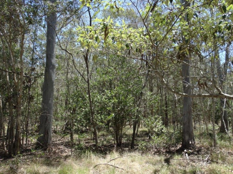 Lot 1 Coast Road, Rules Beach QLD 4674