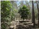 Lot 1 Coast Road, Rules Beach QLD 4674