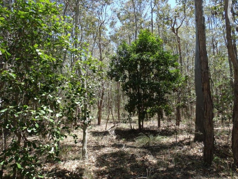 Lot 1 Coast Road, Rules Beach QLD 4674