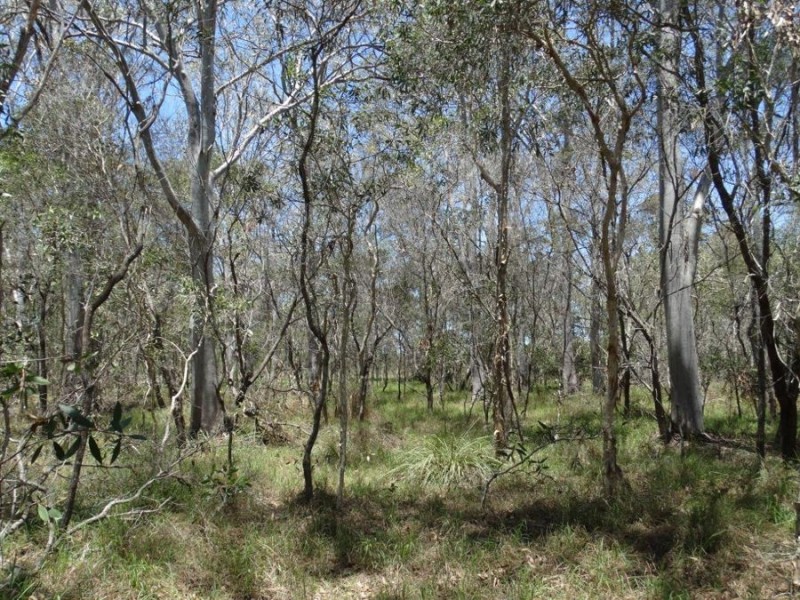 Lot 1 Coast Road, Rules Beach QLD 4674