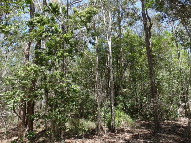 Lot 1 Coast Road, Rules Beach QLD 4674