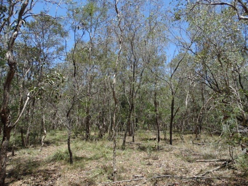 Lot 1 Coast Road, Rules Beach QLD 4674