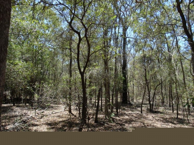 Lot 1 Coast Road, Rules Beach QLD 4674