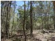 Lot 1 Coast Road, Rules Beach QLD 4674