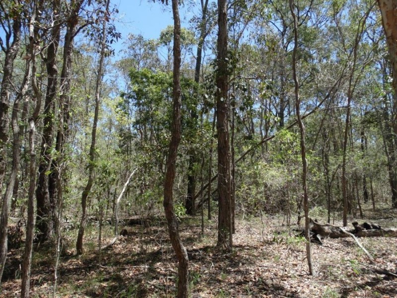 Lot 1 Coast Road, Rules Beach QLD 4674