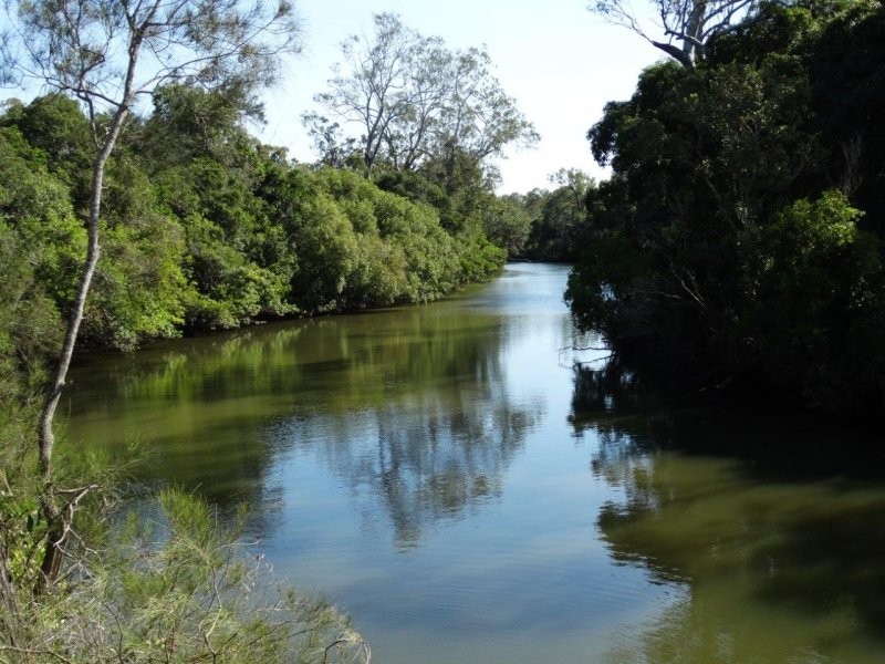 312 Mollenhagens Road, Winfield QLD 4670