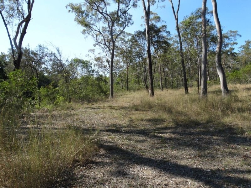 312 Mollenhagens Road, Winfield QLD 4670