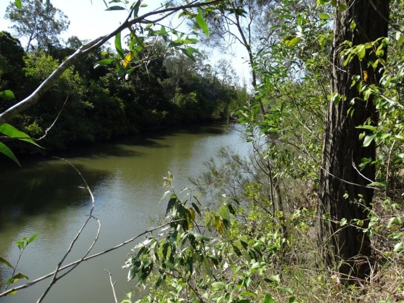 312 Mollenhagens Road, Winfield QLD 4670